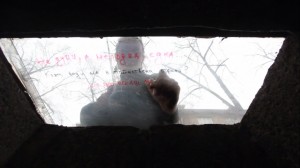 Без име (2)